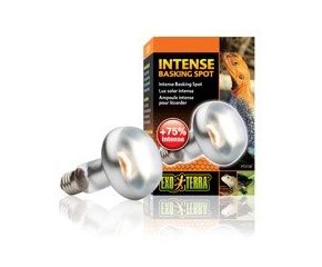 Exo Terra Sun Glo Tight Beam Basking Spot Lamp 75 W
