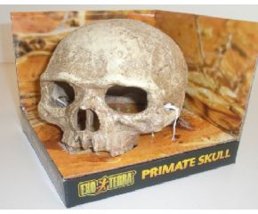 Exo Terra Primate Skull