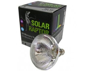 Solar Raptor 80 Watt Kwikdamplamp