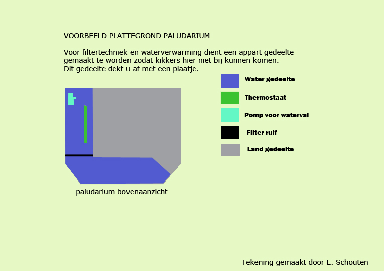 Bekijk hier hoe je je paludarium het beste kan inrichten.